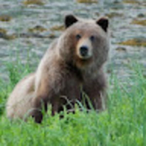 Meet your Posher, Seth